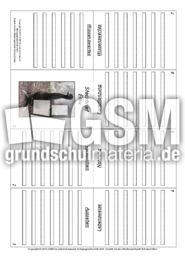 Faltbuch-Emu.pdf